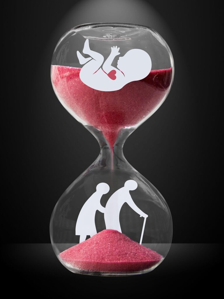 legal rights from embryo to estate